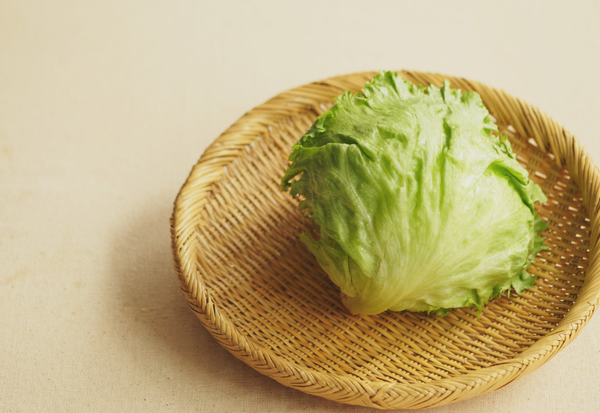 レタスの種類別特徴、違い、選び方から保存方法まで徹底解説