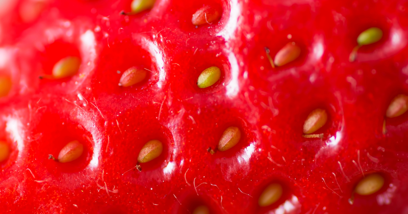 いちごのつぶつぶの正体とは？意外な事実から、育て方、栄養を活かす洗い方、絶品レシピまで徹底解説！