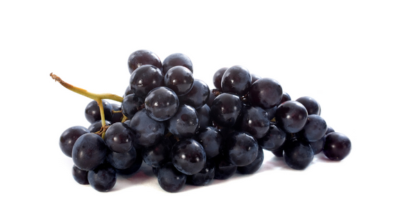 ブラックビート：知られざる黒ぶどうの魅力 – 特徴、巨峰との違い、栽培の課題まで徹底解説