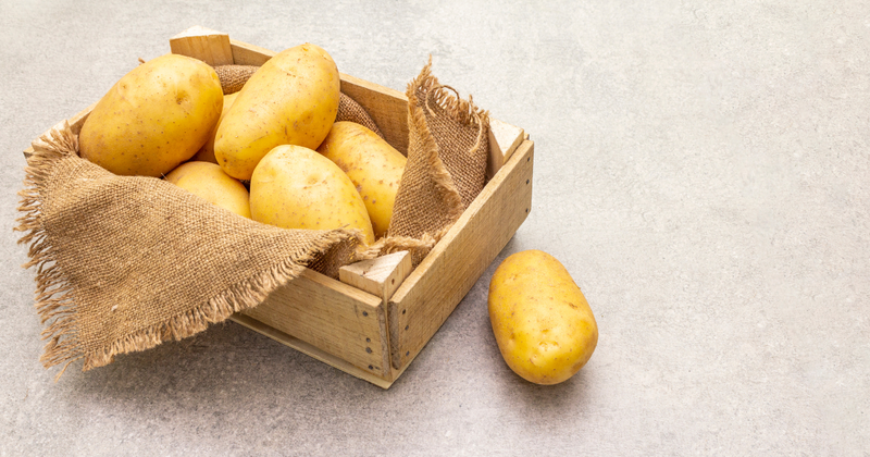 ベランダで挑戦！インカのめざめ栽培：成功への道