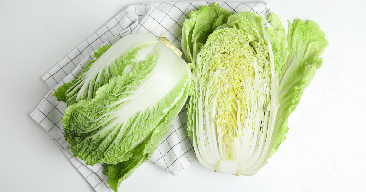 白菜栽培を成功させる追肥のコツ｜時期、回数、肥料の種類、土作りを徹底解説