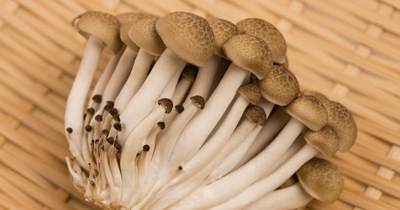 しめじ 冷凍 日持ち