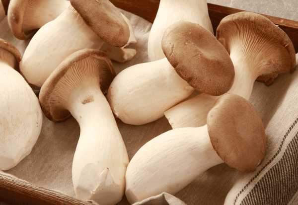 エリンギ保存期間：鮮度を保つ秘訣