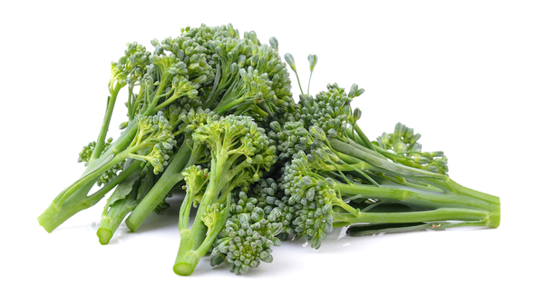 家庭菜園初心者でも簡単！スティックセニョール（茎ブロッコリー）栽培の完全ガイド：特徴、育て方、病害虫対策