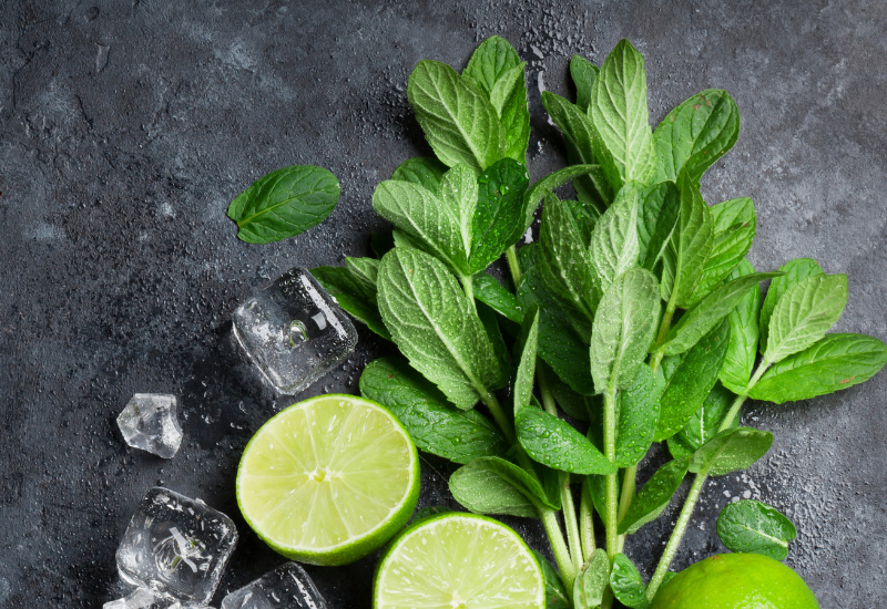 スイートピア（ウィートミント）とは？知っておきたい魅力と基本情報