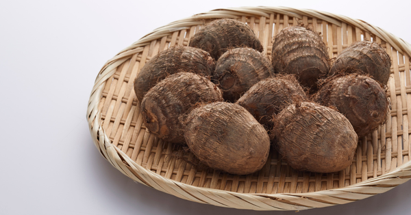 家庭菜園で里芋栽培を成功させる！種芋選びから収穫・保存方法まで徹底ガイド