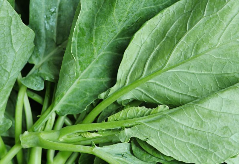 カイラン：知られざる中国野菜の魅力と活用法