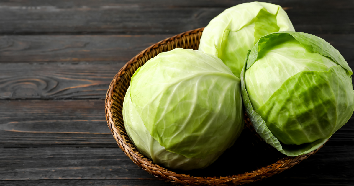 キャベツ生産量日本一は群馬県！季節ごとの主要産地と安定供給の秘密