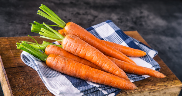 家庭菜園でニンジン栽培！プランターでの育て方を初心者向けに解説