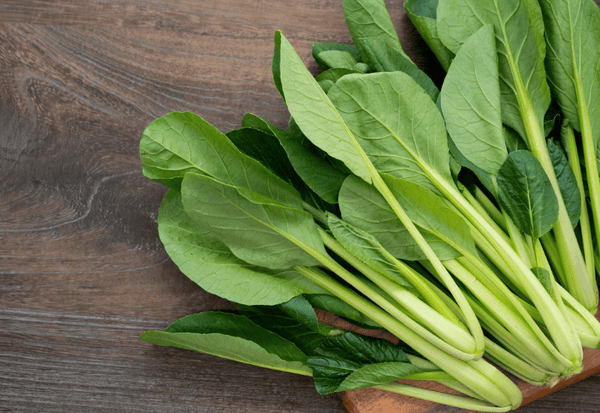 小松菜とは？栄養満点な万能野菜の魅力