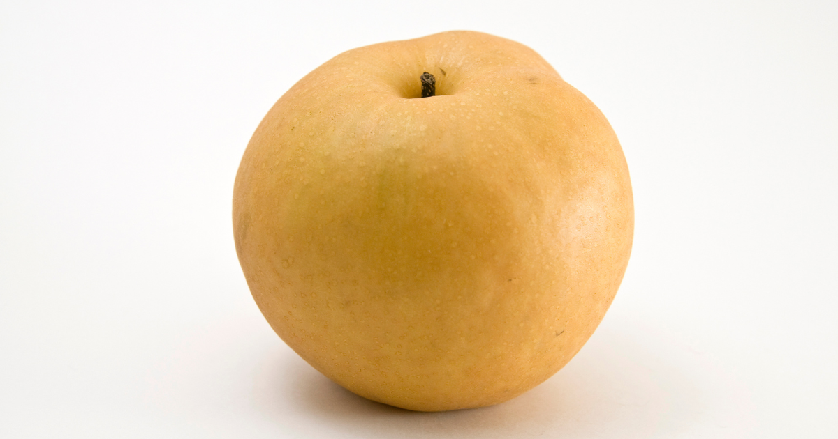 衝撃のビッグサイズ！「にっこり梨」完全ガイド - 味、旬、産地、選び方、保存方法