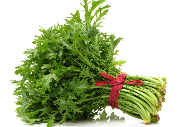 春菊を味わい尽くす！葉・茎・花の美味しい食べ方、栄養、保存方法まで徹底解説