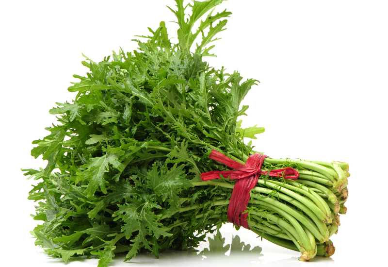 春菊を味わい尽くす！葉・茎・花の美味しい食べ方、栄養、保存方法まで徹底解説