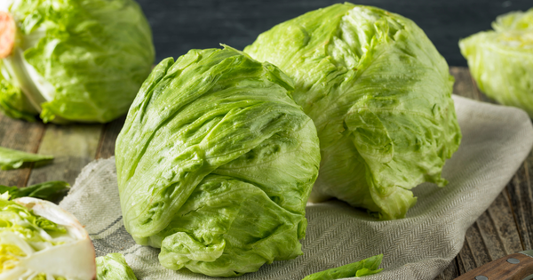 レタスの旬はいつ？季節ごとの産地や品種、選び方まで徹底解説