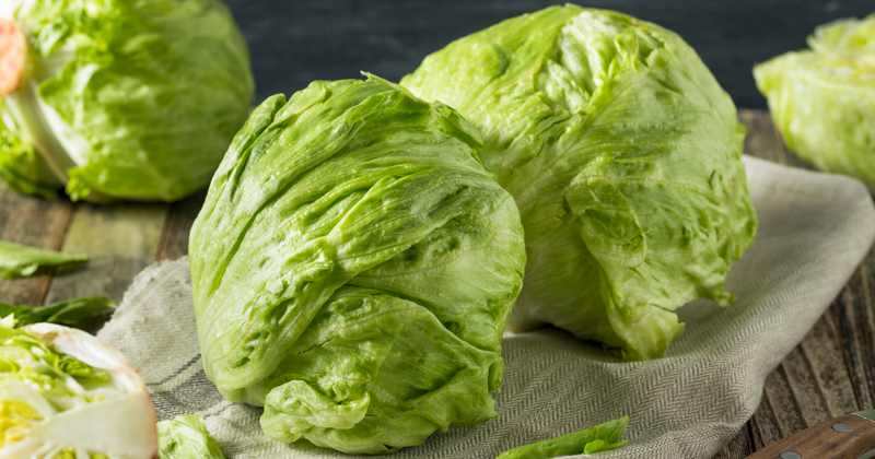 レタスの旬はいつ？季節ごとの産地や品種、選び方まで徹底解説