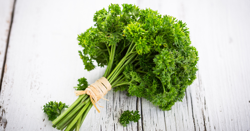 知っておきたいパセリの種類：特徴、効能、活用法を徹底解説