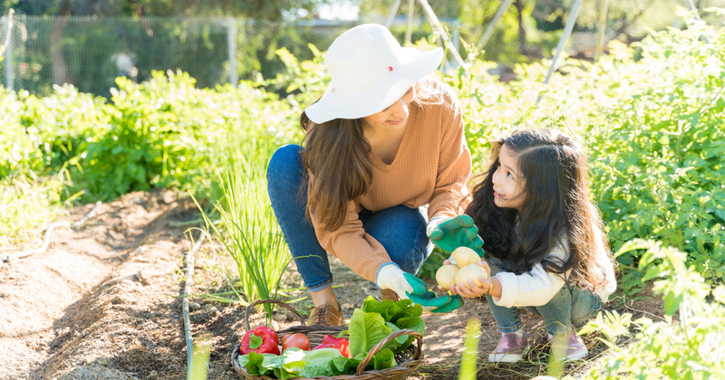 【家庭菜園】春に植えるおすすめ野菜38選｜育て方のコツと注意点