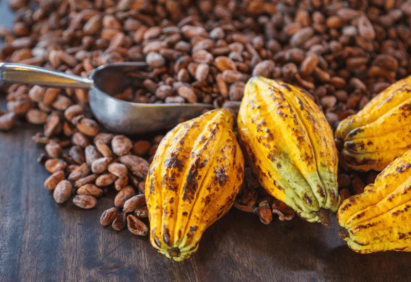 カカオ豆 産地