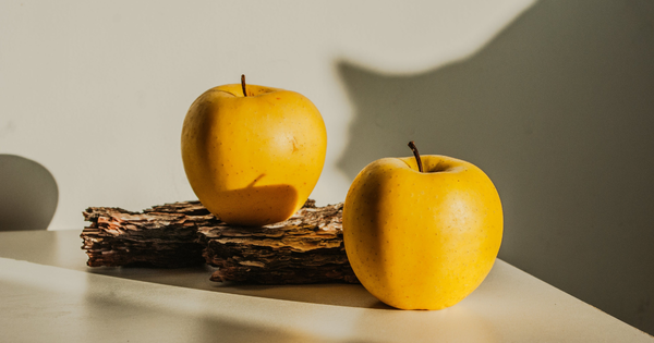 希少品種『ぐんま名月（名月）』の魅力を徹底解剖！糖度・蜜・食感の秘密