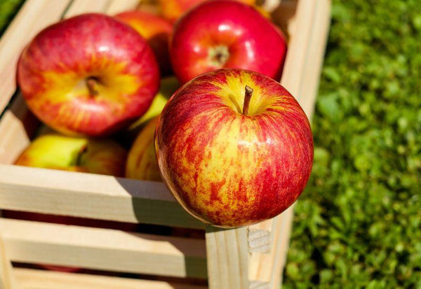 りんご栄養 - スイーツモール