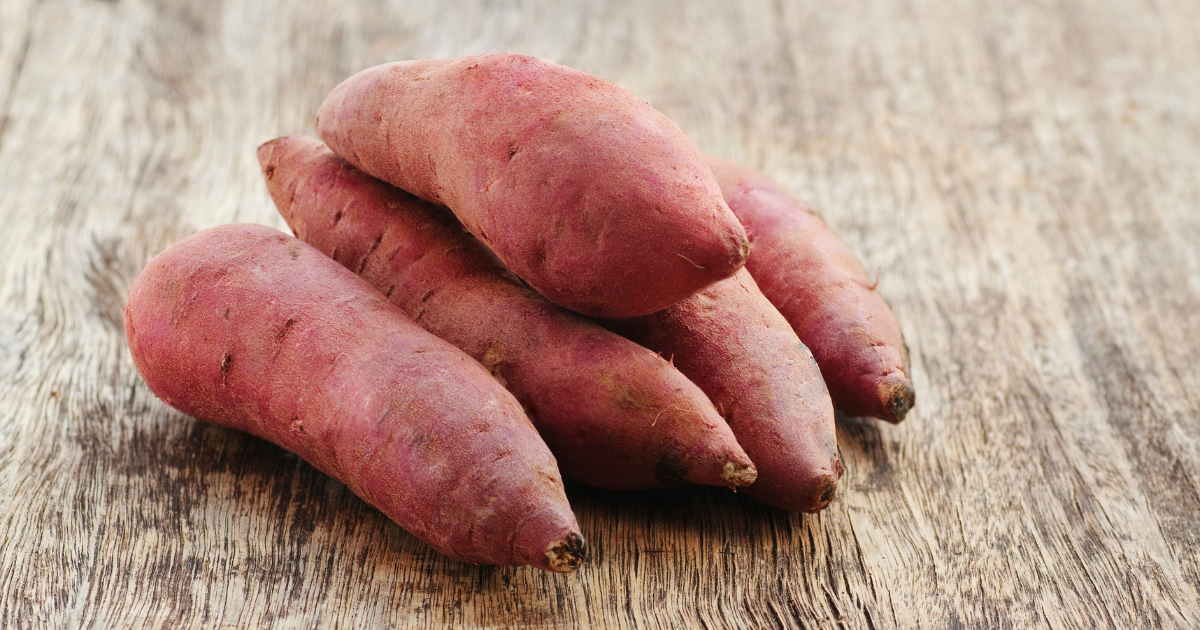 さつまいもの収穫時期を徹底解説！美味しさを見極め、甘みを引き出す保存・追熟のコツ