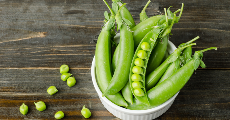 スナップエンドウと絹さやの違いとは？選び方から調理法まで分かりやすく解説