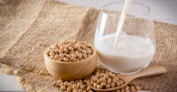 毎日豆乳を飲むとどうなる？ 期待できること、飲み方、注意点