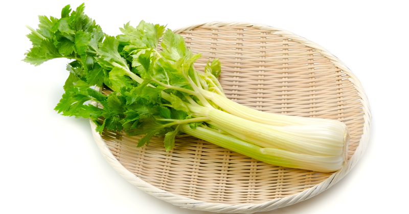 セロリ長持ち保存術！冷蔵・冷凍でシャキシャキ食感をキープ