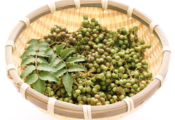 山椒とは？：日本の食卓を彩る、奥深いスパイスの魅力徹底解剖