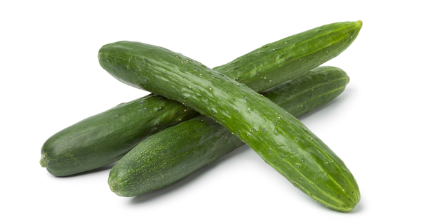 きゅうりの保存法｜冷蔵・冷凍・常温で鮮度を長持ちさせる最適な方法