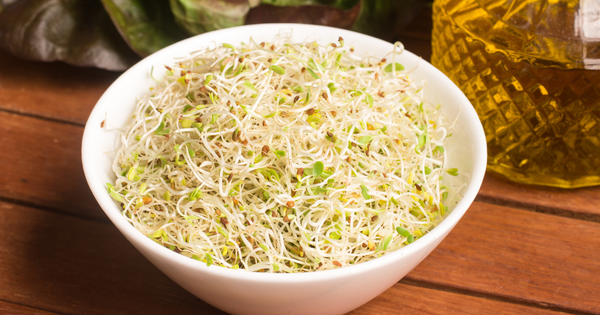 スプラウトとは？栄養満点の「発芽野菜」の魅力と活用法