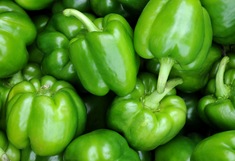 プランターでピーマンを育てる方法：種から収穫までのステップ