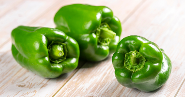 プランターで育てるピーマン、収穫期間はいつまで？長く楽しむコツと土の活用術