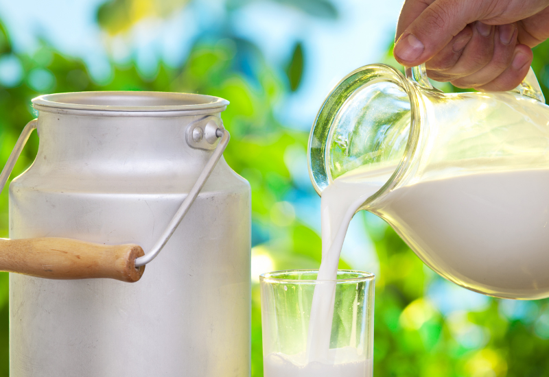 ミルクアレルギーと牛乳アレルギー：違いはある？原因、症状、対策を徹底解説