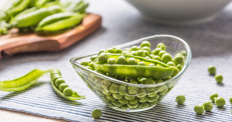 家庭菜園で楽しむ！豆科の野菜の種類、栄養、病害虫対策