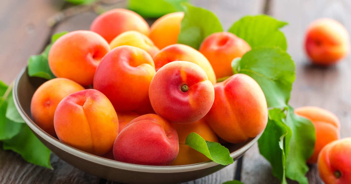 生あんずの魅力満載！旬の味覚を堪能する方法