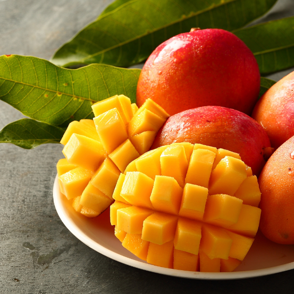 マンゴー苗木で始める、甘い果実への挑戦：育て方から品種選びまで