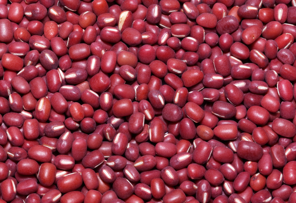 ささげ豆を極める！茹で方から絶品レシピまで