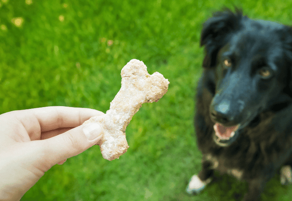 犬のクッキー