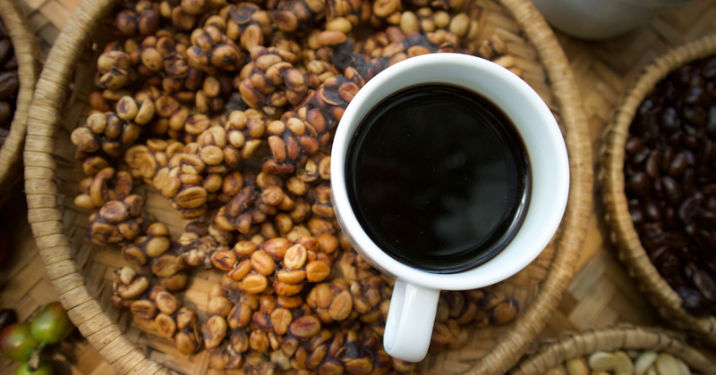 コピルアクは本当にまずい？ 高級コーヒーの裏側に隠された真実