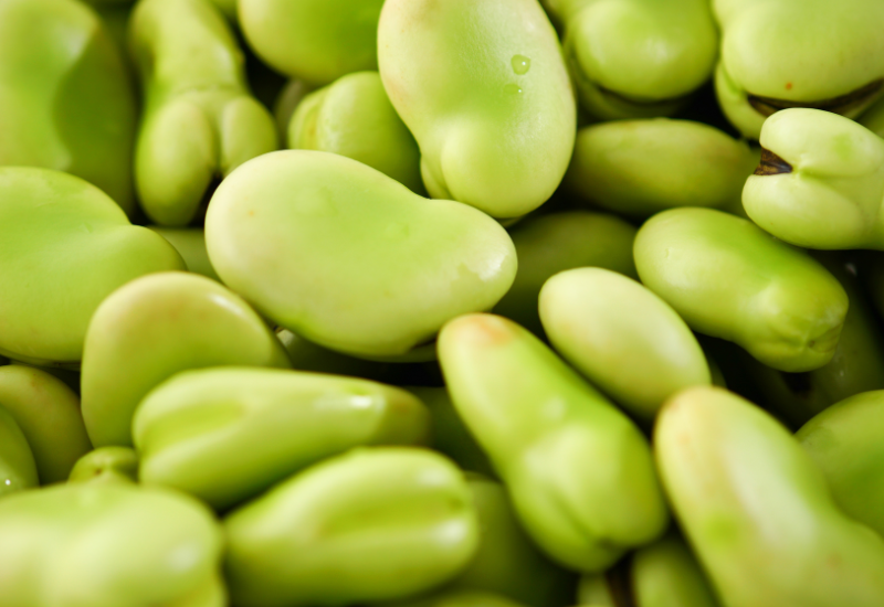 そら豆のカロリー徹底解剖！栄養価や食べ方のポイントも解説