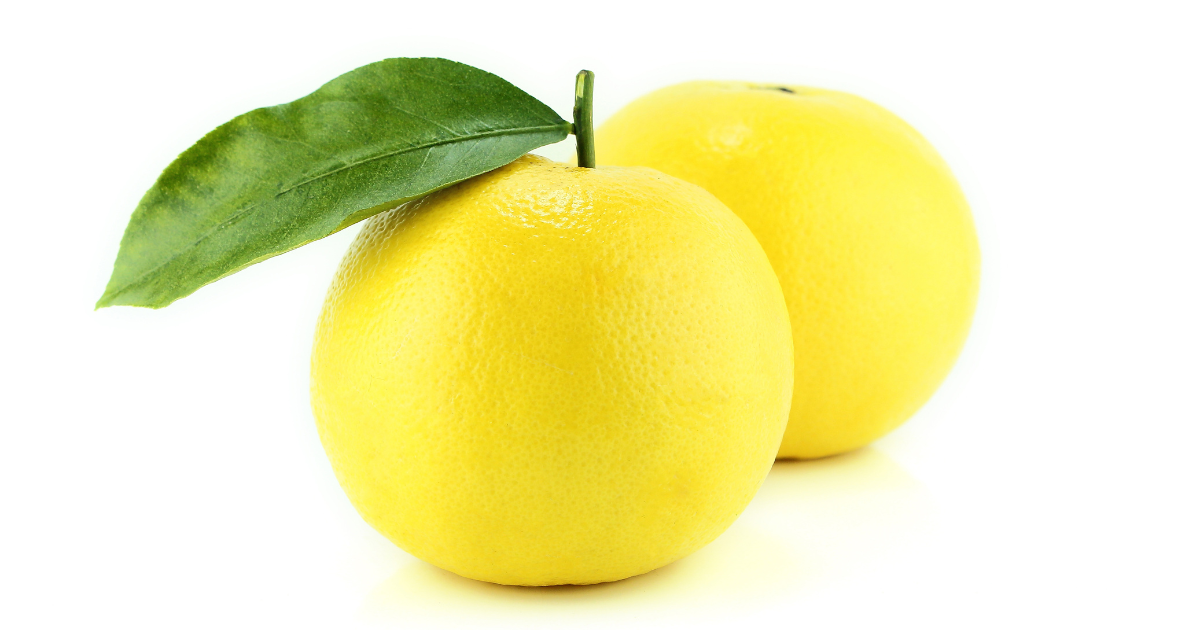 ジャクソンフルーツ：南アフリカ原産の新しい柑橘、その魅力と味わい