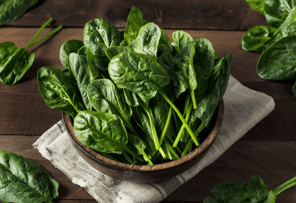 貧血予防に効果的なほうれん草：栄養と賢い食べ方