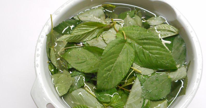 モロヘイヤ 食べ方