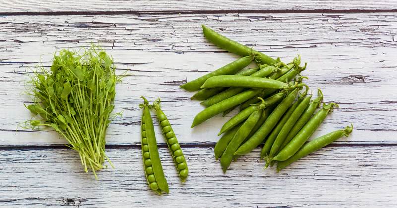 エンドウ豆の種類：さやえんどう、スナップエンドウ、グリンピースの違いと選び方・保存方法