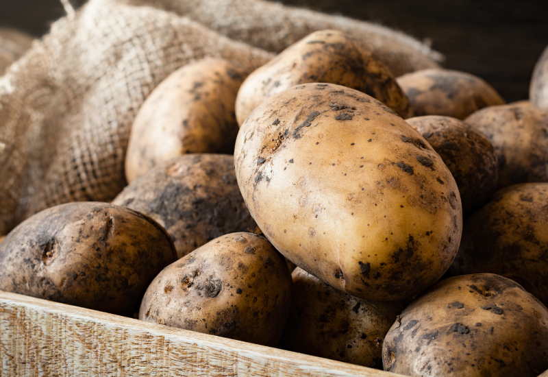 じゃがいも生産量ランキング：都道府県別徹底比較