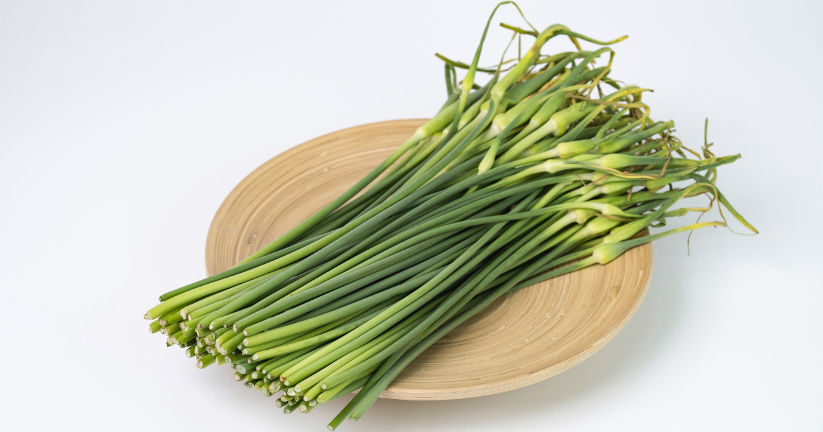 ニンニクの芽を余すことなく味わう！下処理、保存方法から絶品レシピ、栄養価まで徹底解説