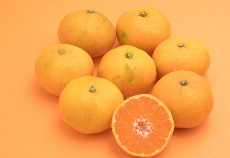 みかん 品種 ランキング