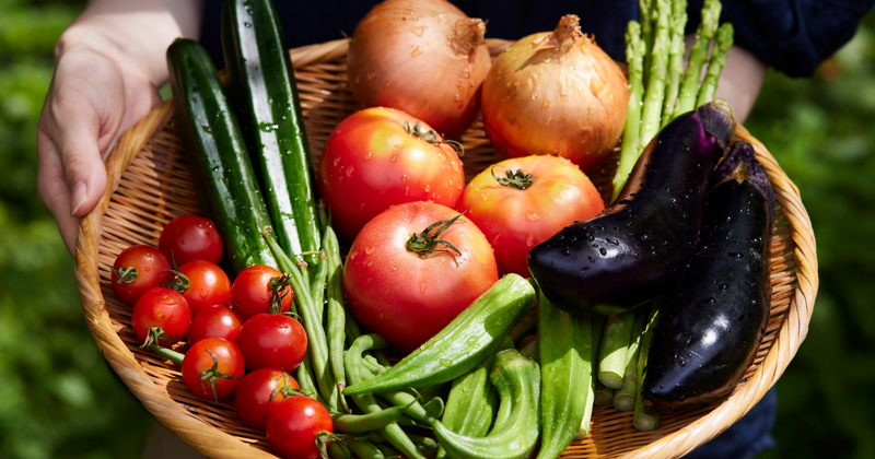 3歳の子が野菜を食べない！保育園調理師が教える克服法と楽しく食べるヒント