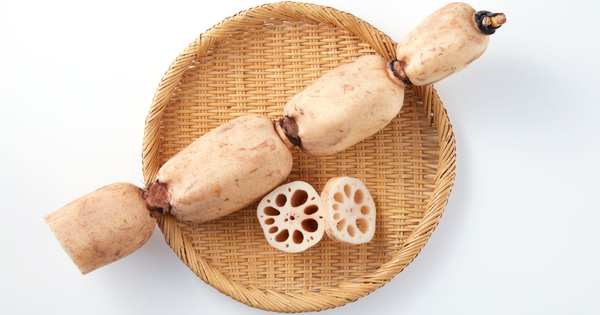 レンコン保存術：冷蔵・冷凍・常温で長持ちさせるコツとおすすめレシピ